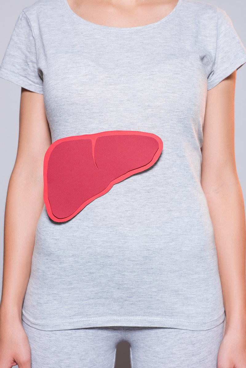 partial view of woman with paper made human liver on grey background