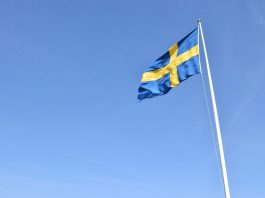 Top 9 Interesting Facts About Sweden swedish-flag