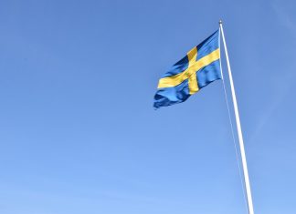 Top 9 Interesting Facts About Sweden swedish-flag