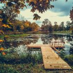 Bright autumn landscape in Latvia. Mobile phone photo.