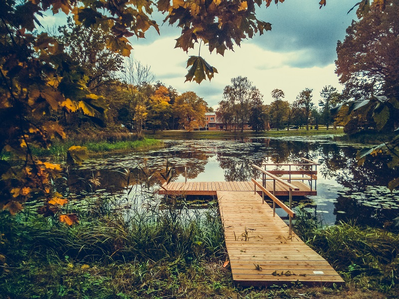 Bright autumn landscape in Latvia. Mobile phone photo.
