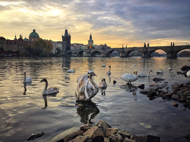 charles-bridge-bridge-view-in-prague-on-golden hour